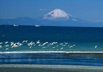 Tateyama Seaside Hotel Dış mekan fotoğraf
