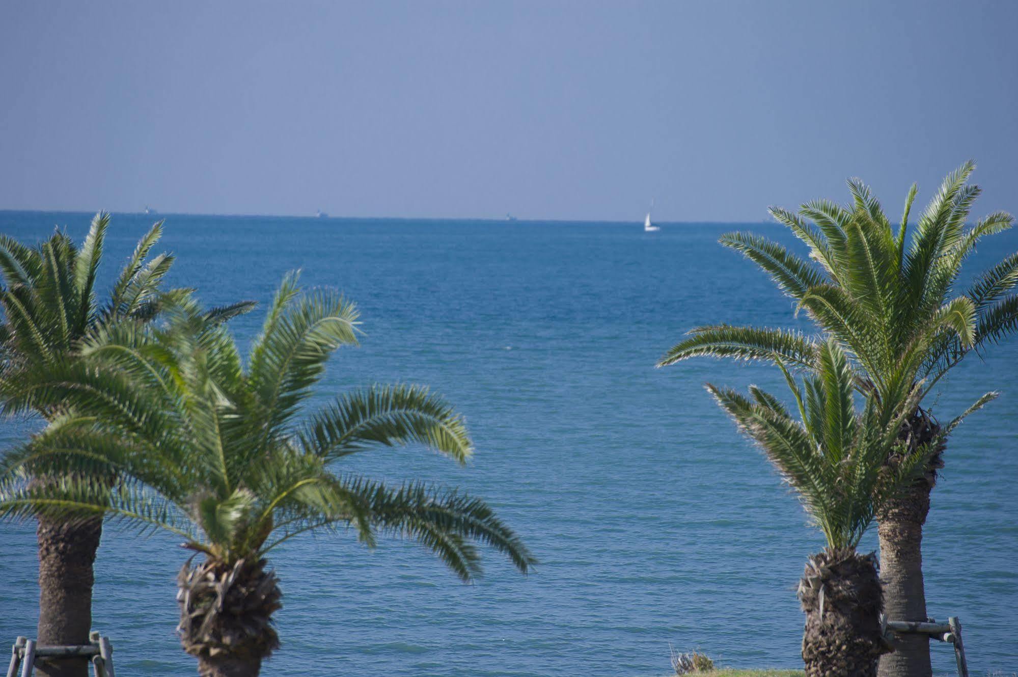 Tateyama Seaside Hotel Dış mekan fotoğraf